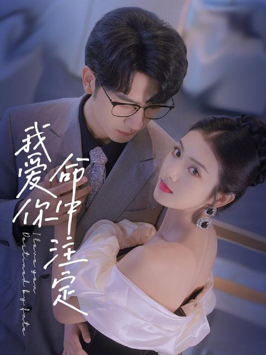 命中注定我爱你剧情是什么